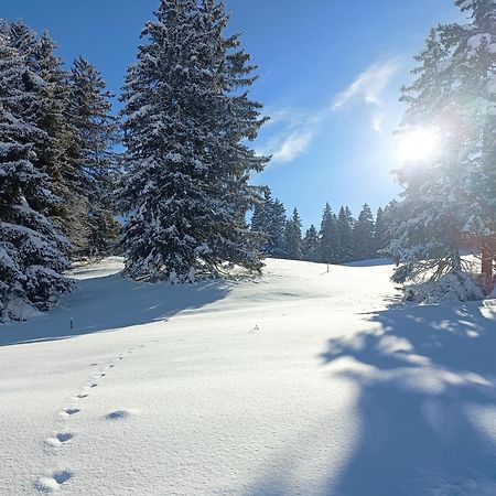 Ferien In Der Region Lenzerheide公寓 外观 照片