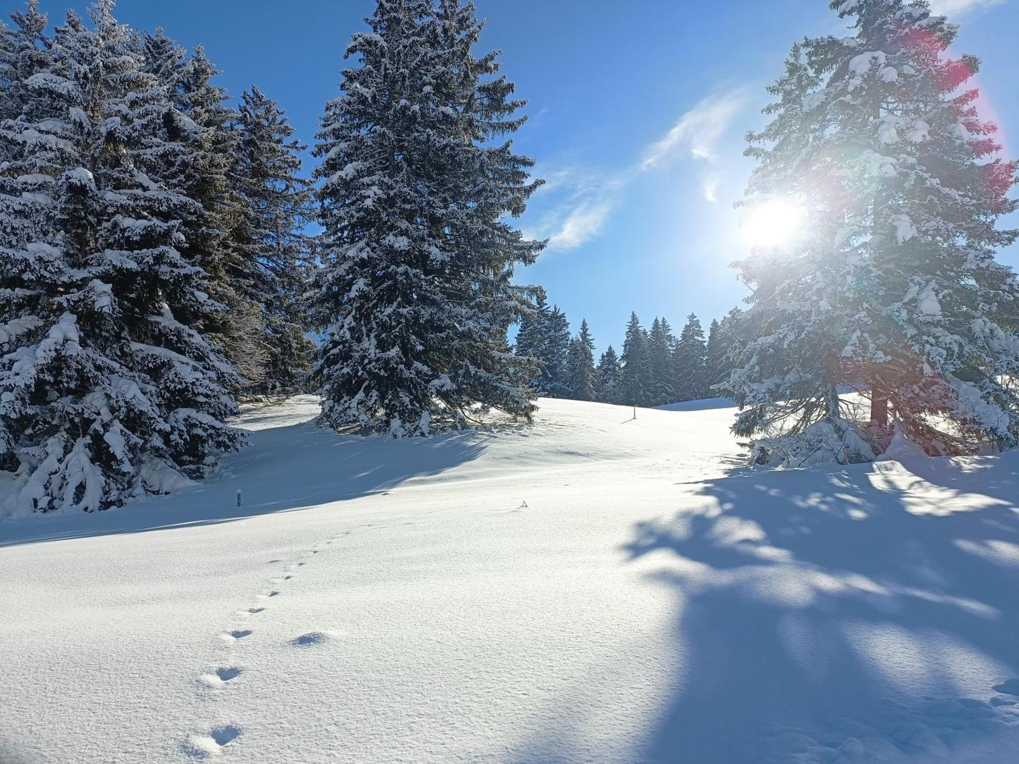 Ferien In Der Region Lenzerheide公寓 外观 照片